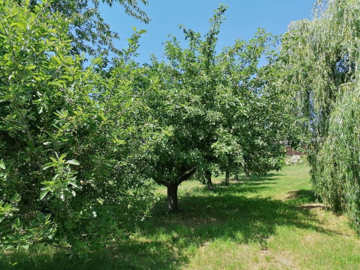 Le Noyer Bed & Breakfast Rougnat Bagian luar foto
