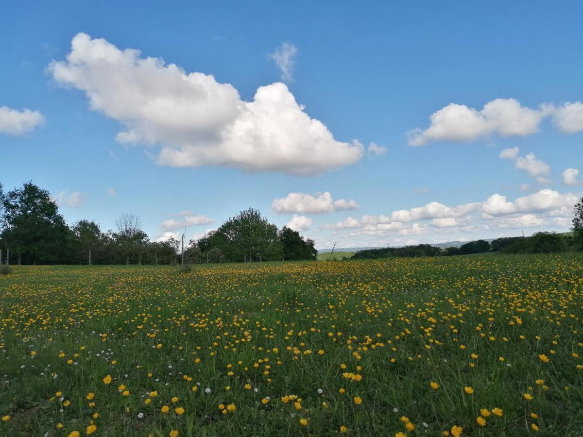 Le Noyer Bed & Breakfast Rougnat Bagian luar foto